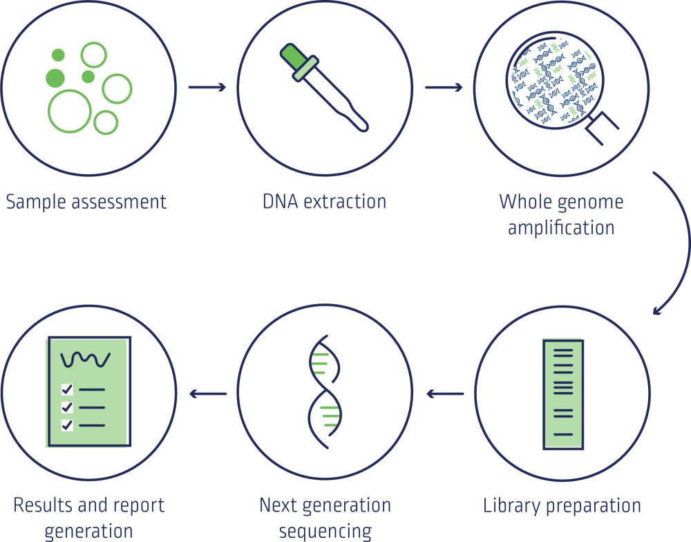 POC - HCP - Methodology-1